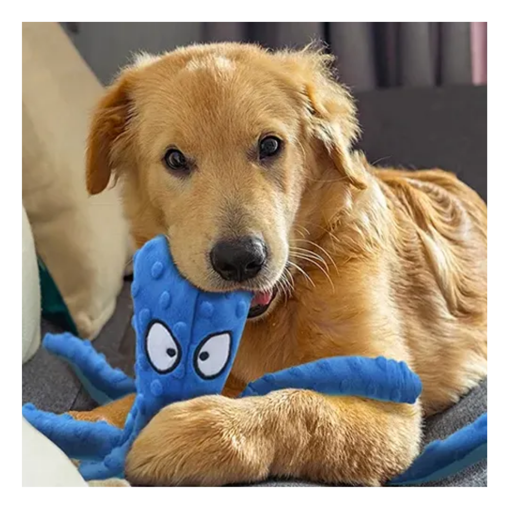 Juguete Pulpo De Peluche  Para Perro